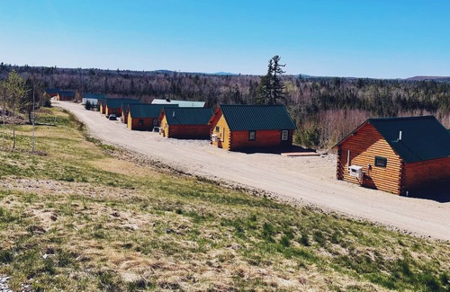 Columbia Falls Cabin | #41 - Flagpole View Cabins - King Cabin