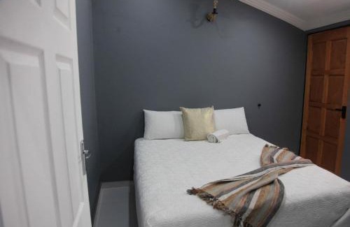 Greater Johannesburg Metropolitan Area House | 4447 Guesthouse
