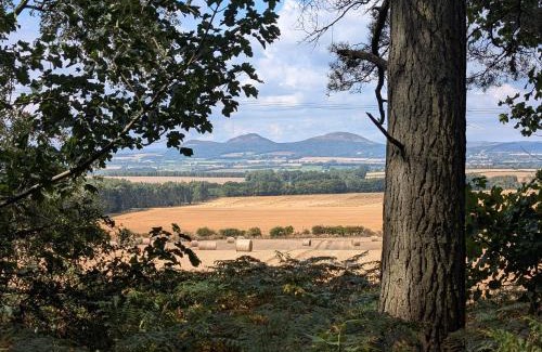 Jedburgh Resort | 47 Northwood