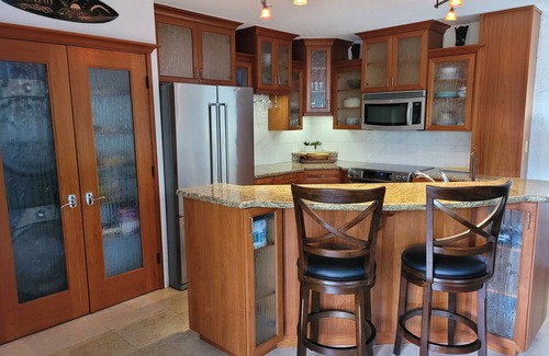 Kailua-Kona Condo | 5-star Four Seasons style renovated gem with A/C and Ocean View