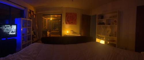 Hamilton Apartment | 5 Star ranch retreat