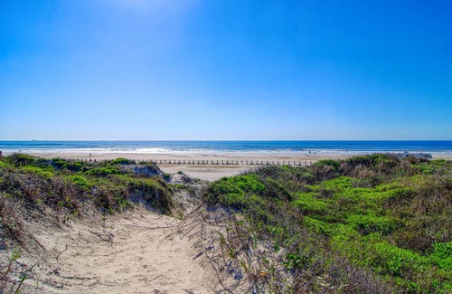 Port Aransas Condo | 50 m² Condo ∙ 1 bedroom ∙ 4 guests
