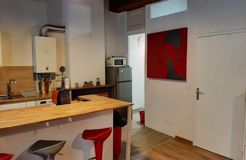 Les Cordeliers Apartment | 50 m2 in Lyon's hypercentre-Place des Jacobins