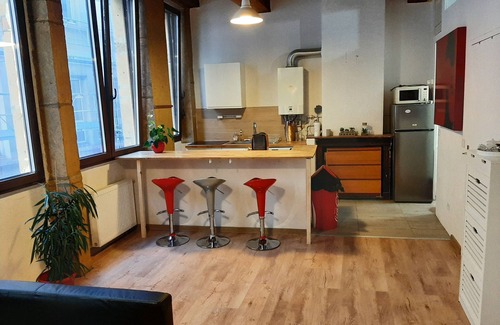 Les Cordeliers Apartment | 50 m2 in Lyon's hypercentre-Place des Jacobins