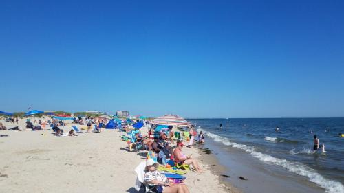 Harwich Port House | 530 Route 28 Harwich Port Cape Cod - - The Pineapple House