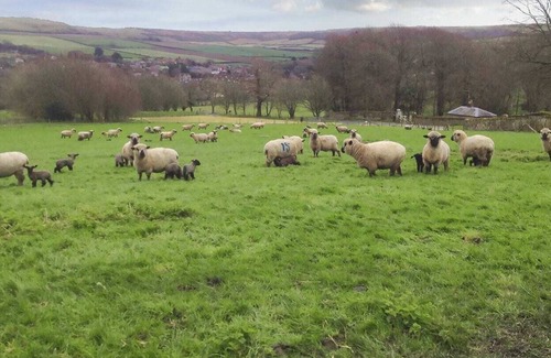 Ventnor Cottage | 6 bedroom accommodation in Wroxall