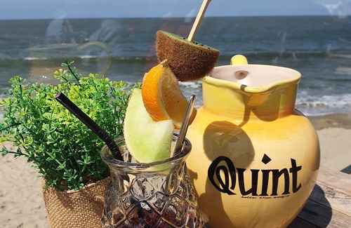 Scharendijke House | 6-person feel-good vacation home by the sea