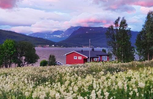 Lenvik House | 7 person holiday home in Rossfjordstraumen