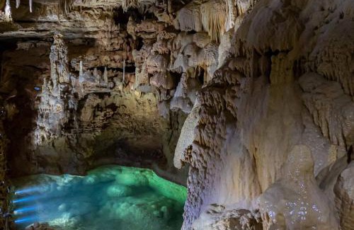 New Braunfels House | #8 The Cabin at Garrison in Gruene