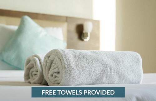 Salvo House | 8065 - The Surfing Kitty