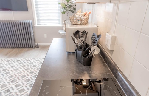 Kutzky Park Apartment | 8071-Studio in heart of Rochester - Step to MAYO