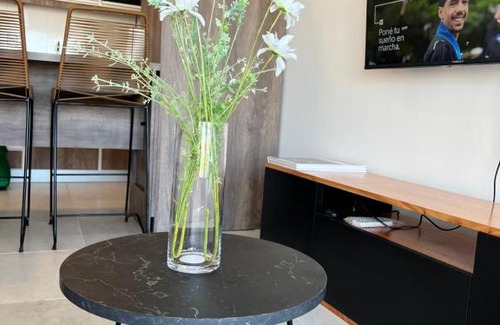 San Telmo Apartment | 815 view