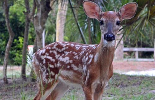 Bonito Boathouses House | 862 Bonito