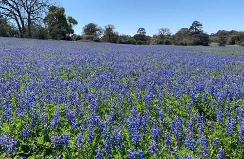 Smithville Cabin | 9E Ranch Bastrop