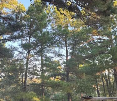 Smithville Cabin | 9E Ranch Bastrop