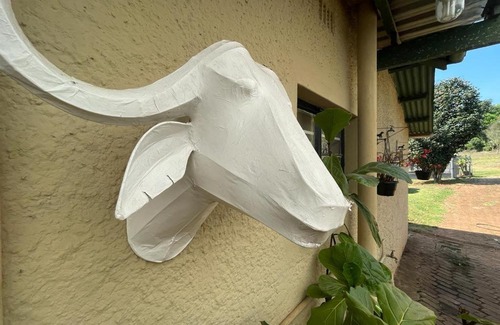 Haenertsburg Apartment | A Bird Cage Stay & Cottage
