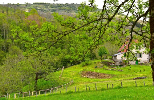 Saint-Projet-de-Salers Cottage | A Calm & Rural Retreat