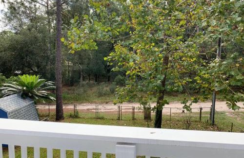 Mount Plymouth Ski Chalet | A-Frame in the Woods