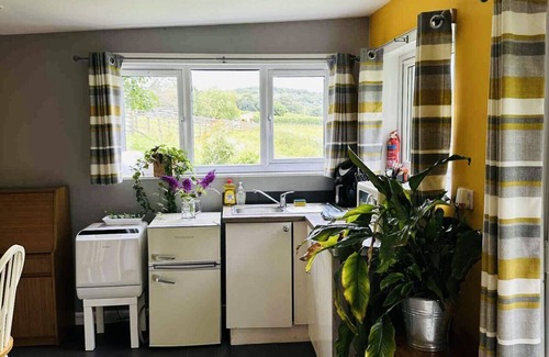 Lifton Cabin | A great place for friends to relax!