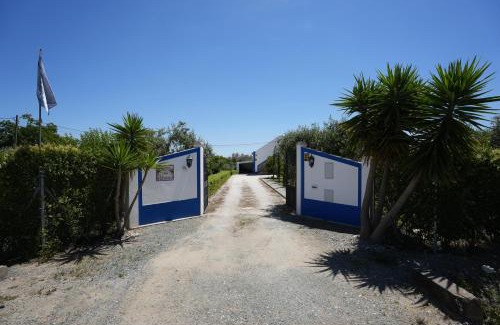 Reguengos de Monsaraz House | A Janela das Palmeiras