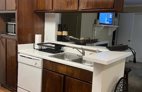 Astrodome Apartment | A Laid Back 2 BR 2 BT Patio Near NRG Arena Theatre Medical Center Rental Car Available