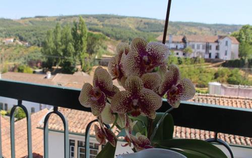 Caldas da Felgueira Apartment | A Moderna - Guest house Casa dos Serpas