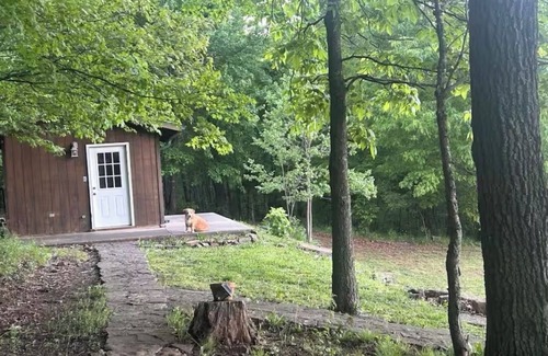 Carroll County Cabin | A modest 2 bedroom one bath cabin with two sleeper cabins. It’s private.