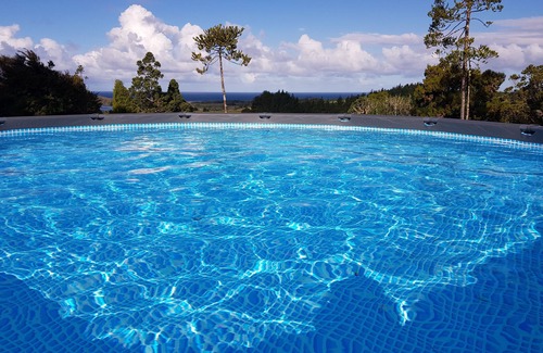 Pataua House | A Native Coastal New Zealand Experience