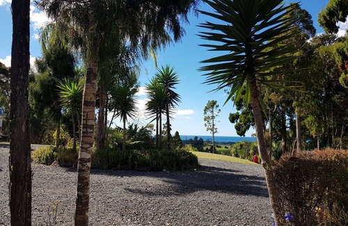 Pataua House | A Native Coastal New Zealand Experience