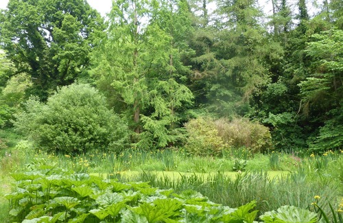 Wray Cottage | A Peaceful Getaway - Family Friends Pet Friendly Ground Floor Cottage.