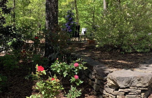 Ferndale Apartment | A QUIET RETREAT IN THE WOODS JUST A FEW MINUTES FROM THE CITY.