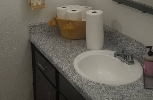 Braeswood Place House | A spacious centrally located jewel only minutes from NRG and The Medical Center.