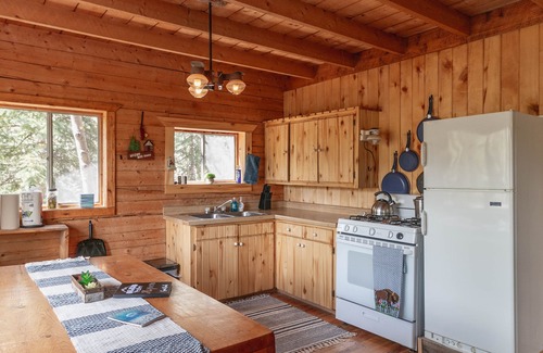 Lake City Cabin | A True Escape, Technology Free in Beautiful Southwest Colorad - Pet Friendly