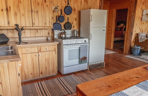 Lake City Cabin | A True Escape, Technology Free in Beautiful Southwest Colorad - Pet Friendly