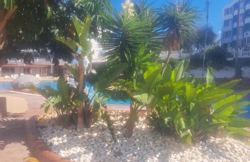 San Miguel de Abona Apartment | A&V Studio in Green Park