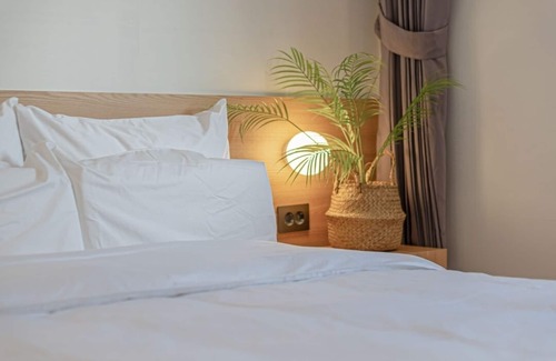 Dong-gu Hotel | Aank Hotel Daejeon Yongjeon Ⅱ