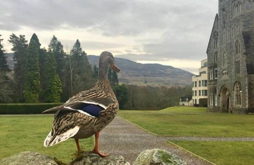 Fort Augustus Apartment | Abbey Church 14 'Averon' at the Highland Club