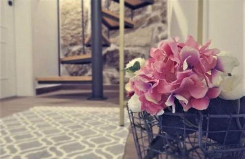 Castro Daire House | Abrigo do Mezio - Country House