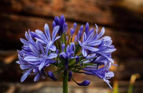 Villa de Leyva House | "Acogedora Cabaña Ojo de Agua en Villa de Leyva -Vistas Increíbles de las Montañas Iguaque!