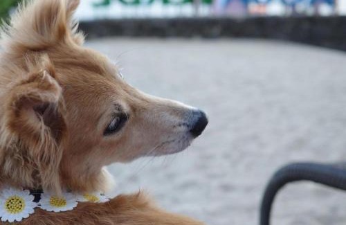 San Juan Resort | Acuaverde Beach Resort