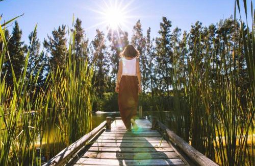 Addo Cabin | Addo African Home