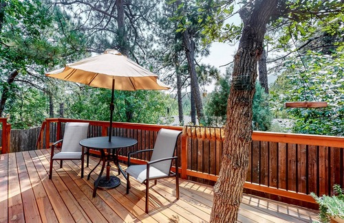 Broadmoor Cottage | Adorable cottage w/large deck, fast WiFi, gourmet kitchen, & great location
