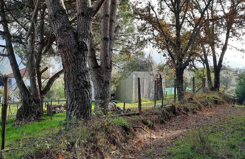 Casal de Ermio Cabin | Adore Portugal Bungalow