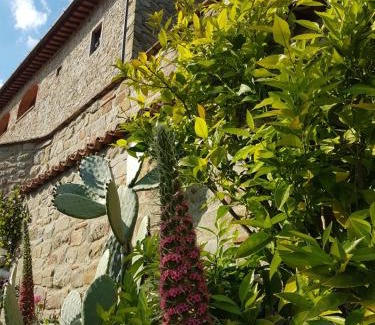 Uzzano House | Affittacamere Adri