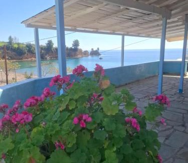 Chalkidiki Region Apartment | Agnanti Kotsikia