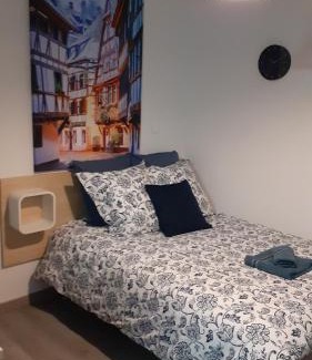 Mulhouse Apartment | Agréable Studio tout équipé à Mulhouse