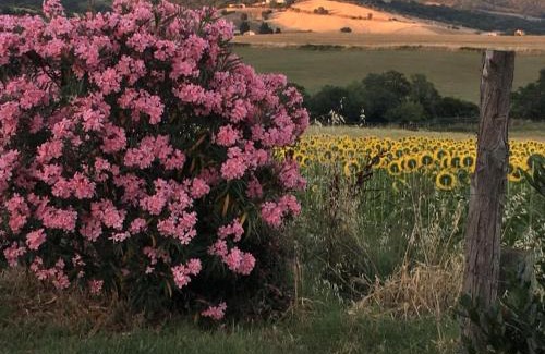 Manciano Apartment | Agriturismo Barbicate
