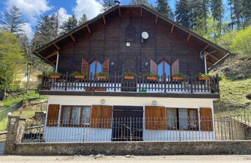 Arezzo House | Agriturismo Borgo Nuovo Di Mulinelli