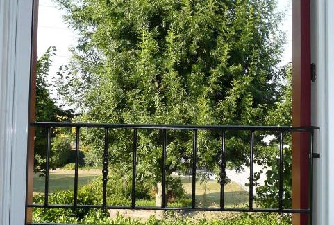 Camponogara House | Agriturismo Campoverde