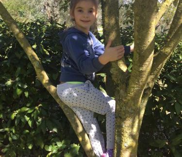 Corchiano Bed & Breakfast | Agriturismo Casale Loreto